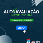 Docentes e Discentes: Autoavaliação Institucional 2024.2