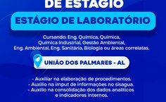 Notícia 3 _ Figura 2.jpeg