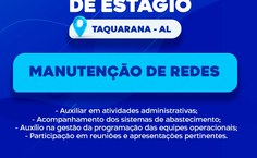 Notícia 3 _ Figura 4.jpeg