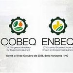 Professores da Eng. Química prestigiam COBEQ e ENBEQ 2025