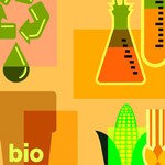 Patente em etanol celulósico é concedida à Professora do Curso de Engenharia Química