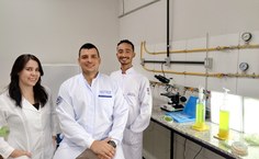 Grupo de Pesquisa 2